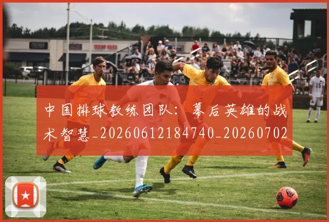 中国排球教练团队：幕后英雄的战术智慧_20260612184740_20260702202331_20260716181734